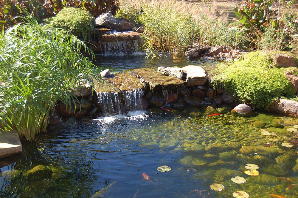 Backyard Mini Waterfalls into Large Pond